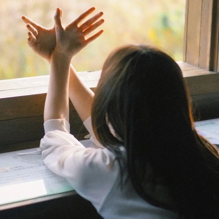 戴夫·查普尔:扭曲事实的时代